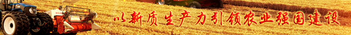 新質生產力引領農業強國建
